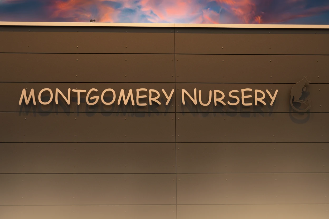 Kita Montgomery School Beitragsbild Schrift